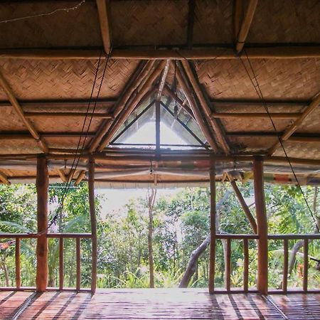 Auberge de jeunesse Busuanga Backpackers à Concepcion  Extérieur photo