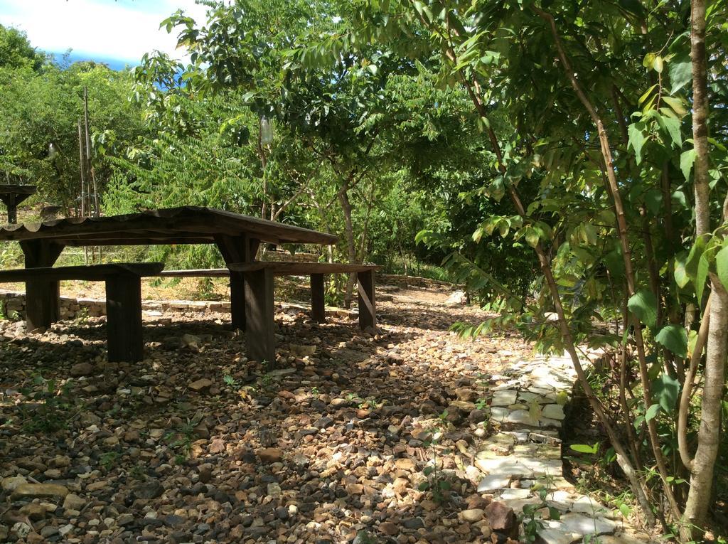 Auberge de jeunesse Busuanga Backpackers à Concepcion  Extérieur photo
